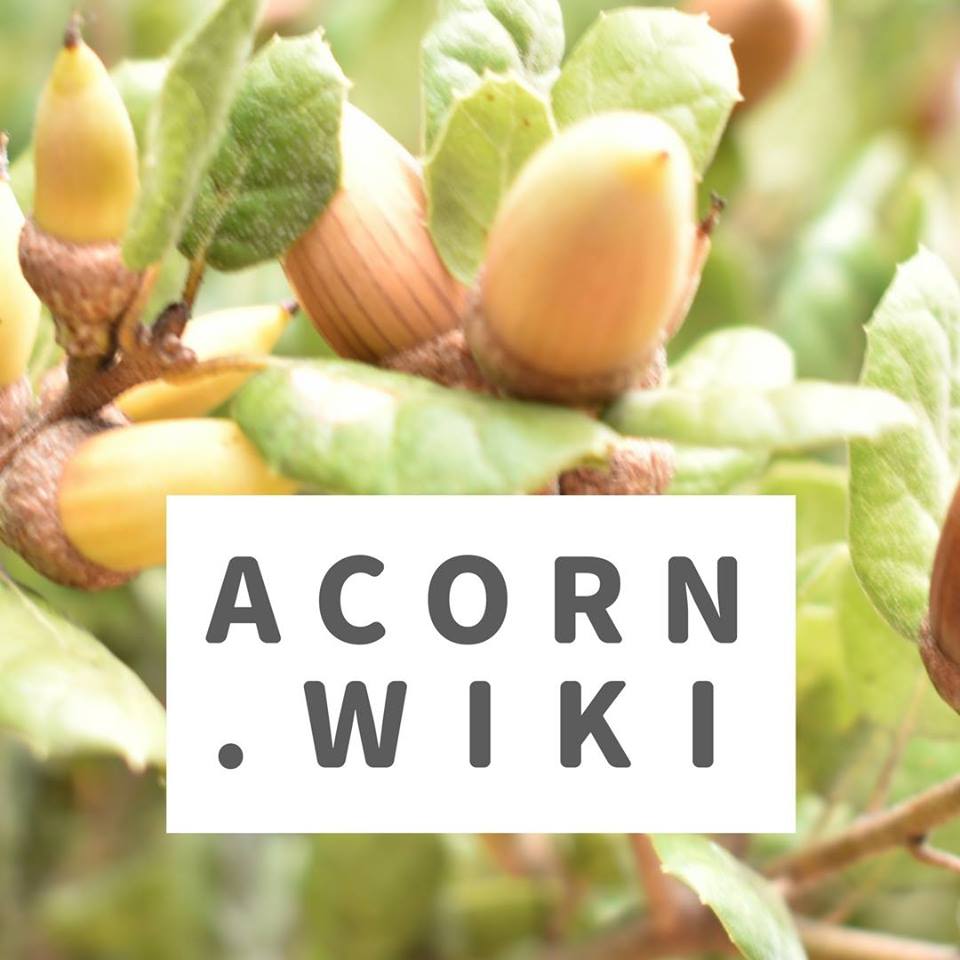 Acorn - Wikipedia